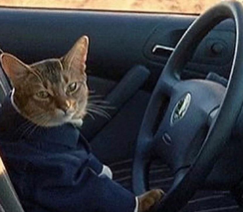 Проклятые картинки смешные, проклятый Шрек картинка, фото Проклятые картинки смешные проклятый Шрек картинка фото 8