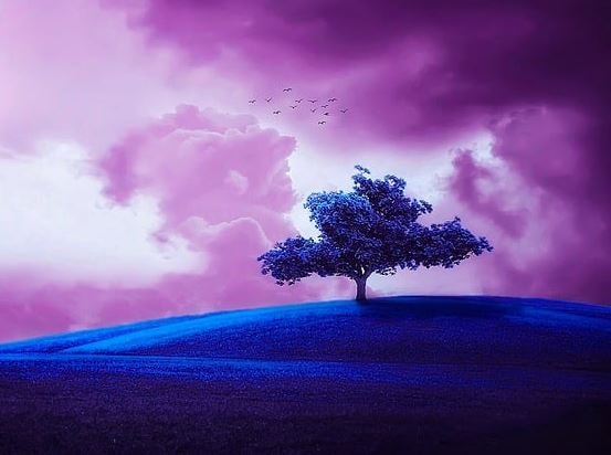 Классные изображения HD, фотографии, статус WhatsApp DP Классные изображения HD, фотографии, статус WhatsApp DP