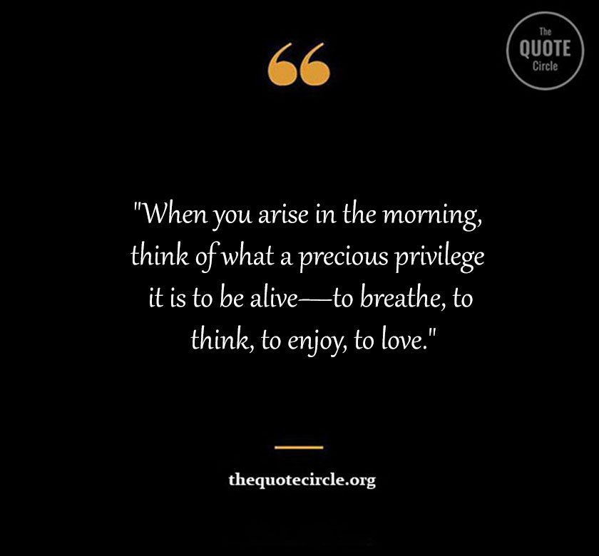 Top Best New Famous Appreciation Quotes for Everyone Appreciation Quotes