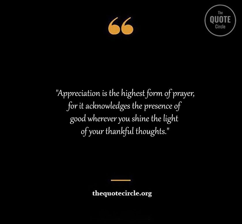 Top Best New Famous Appreciation Quotes for Everyone Appreciation Quotes