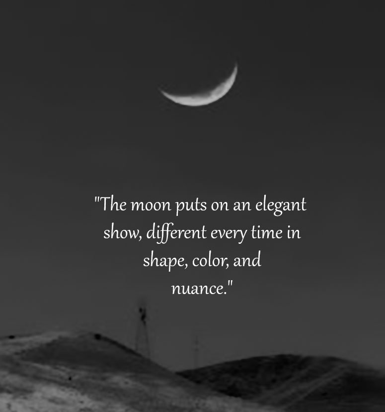 Moon Quotes
