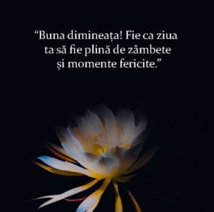 Cei Mai Buni Celebri Citate De Buna Dimineata