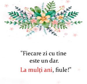 Copile Drag La Multi Ani Baiatul Meu Citate