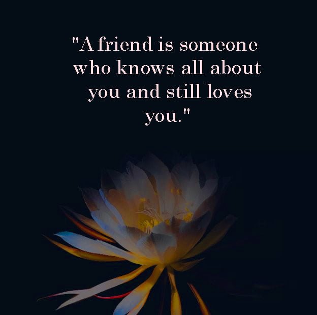 Top 80+ Best New Famous Friendship Love Quotes Best New Famous Friendship Love Quotes