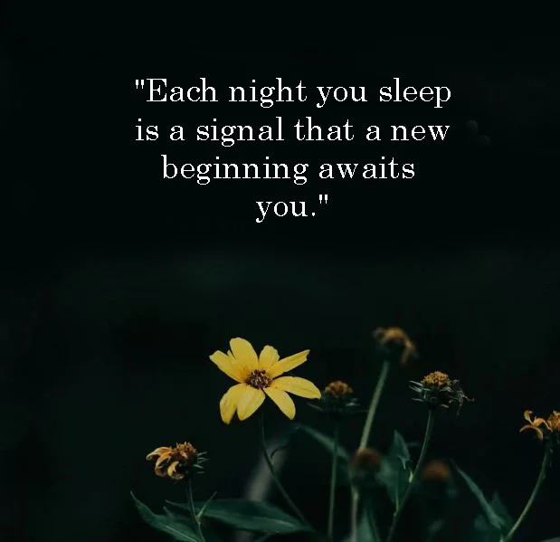 Best New Famous Good Night Inspirational Quotes