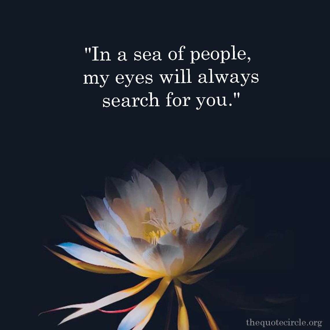 Top 70+ Best New Famous I Love You Quotes for Her Best New Famous I Love You Quotes for Her