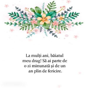 Top 50+ Cei Mai Buni La Multi Ani Baiatul Meu Citate Cei Mai Buni La Multi Ani Baiatul Meu Citate