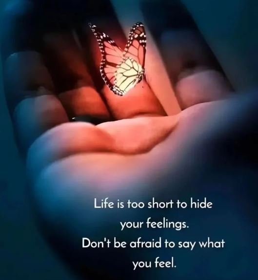 The Quotes Circle Life-Quotes