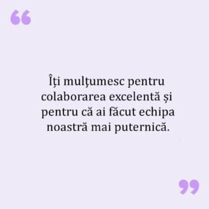 Mesaje De Multumire Pentru Colegi