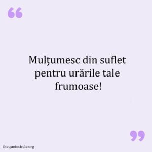 50+ Cei Mai Buni Faimoși Mesaje De Multumire Pentru Urari Mesaje De Multumire Pentru Urari
