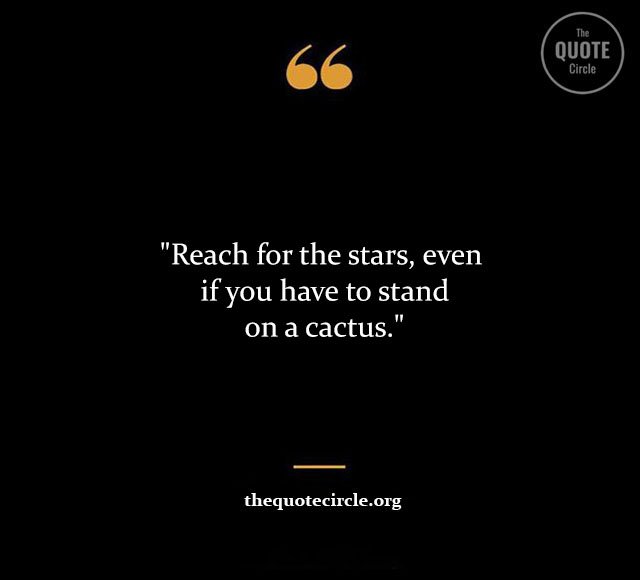 Top Best New Famous Star Quotes and Saying Star-Quotes