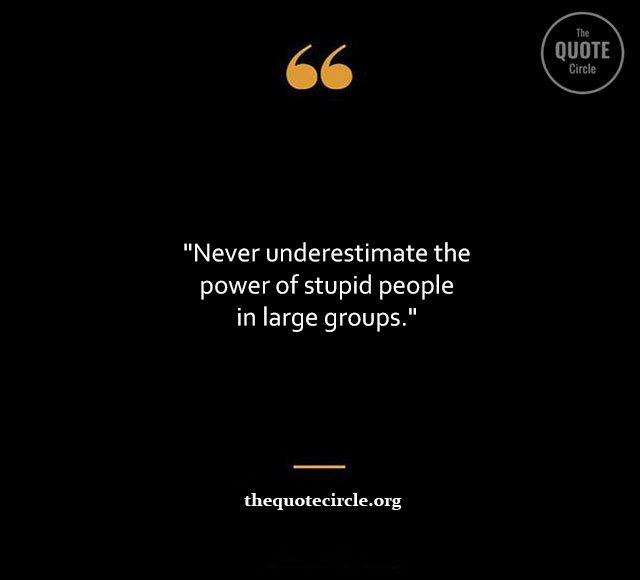 Stupid-Quotes