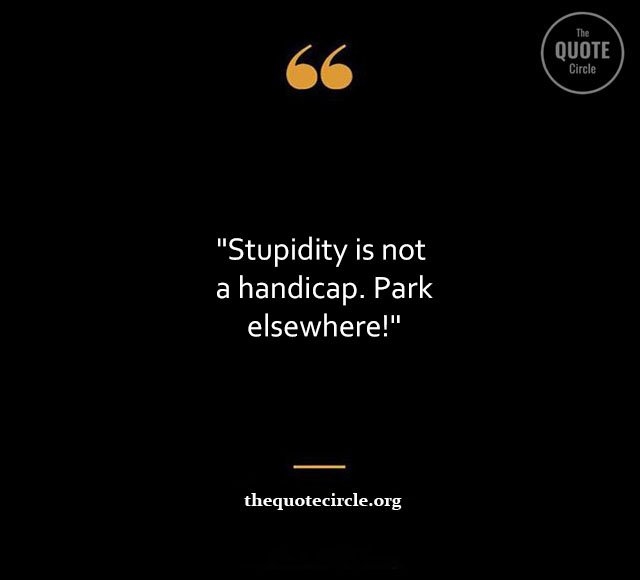 Stupid-Quotes