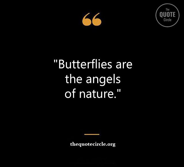 Top Best New Famous Butterfly Quotes for Everyone Butterfly-Quotes