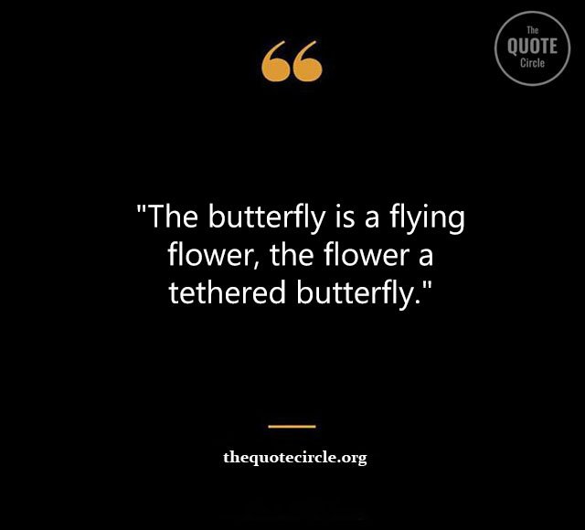 Top Best New Famous Butterfly Quotes for Everyone Butterfly-Quotes