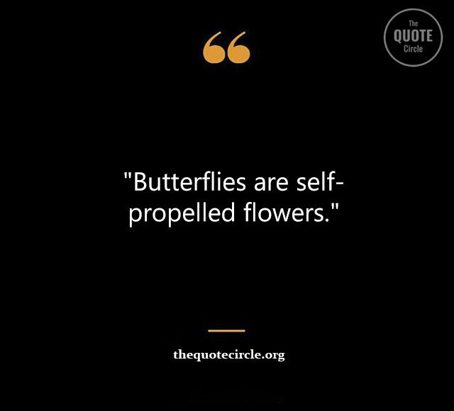Top Best New Famous Butterfly Quotes for Everyone Butterfly-Quotes