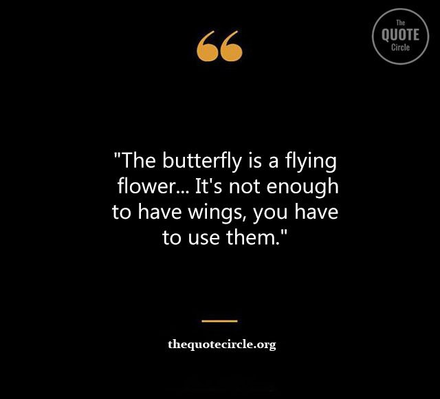 Top Best New Famous Butterfly Quotes for Everyone Butterfly-Quotes
