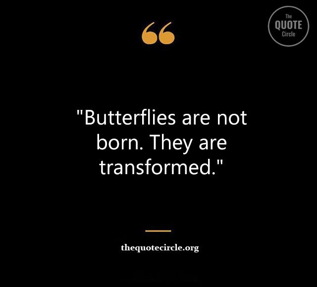Top Best New Famous Butterfly Quotes for Everyone Butterfly-Quotes