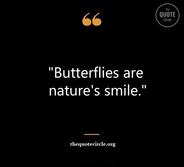 Top Best New Famous Butterfly Quotes for Everyone Butterfly-Quotes