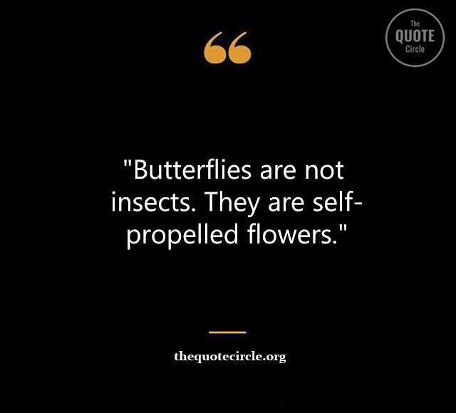 Top Best New Famous Butterfly Quotes for Everyone Butterfly-Quotes