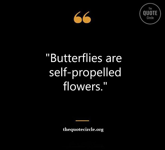 Top Best New Famous Butterfly Quotes for Everyone Butterfly-Quotes