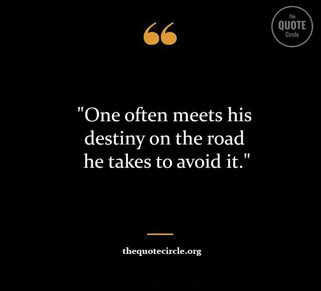 Top Best New Famous Master Oogway Quotes for Everyone Master-Oogway-Quotes