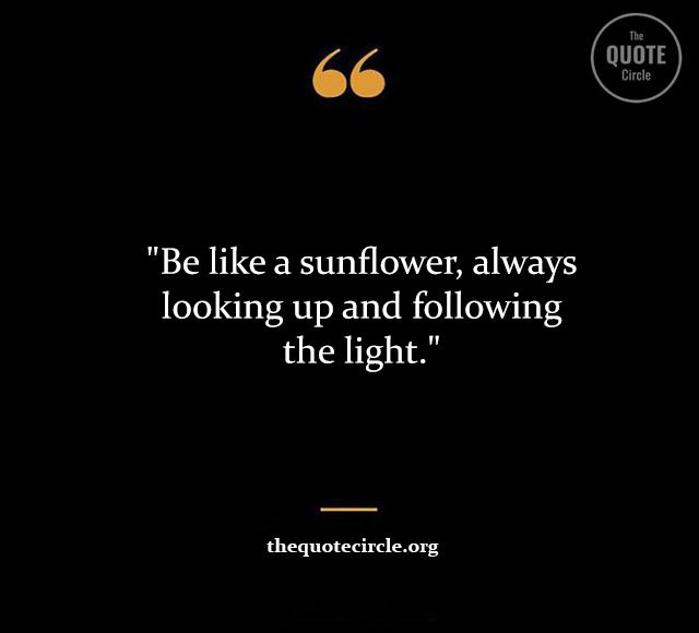 Top Best New Famous Sun Flower Quotes for Everyone Sun-Flower-Quotes
