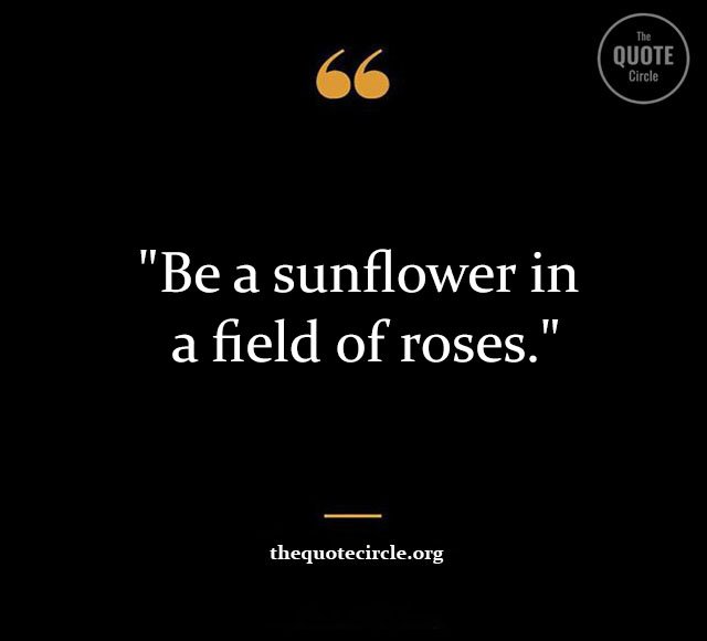 Top Best New Famous Sun Flower Quotes for Everyone Sun-Flower-Quotes