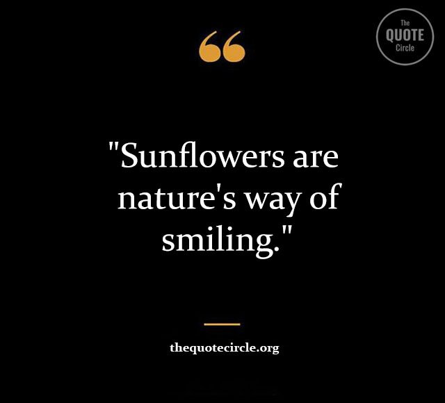 Top Best New Famous Sun Flower Quotes for Everyone Sun-Flower-Quotes