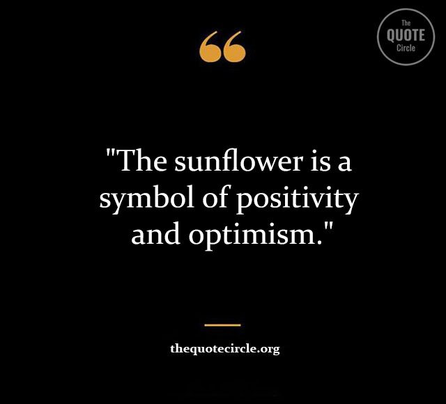 Top Best New Famous Sun Flower Quotes for Everyone Sun-Flower-Quotes