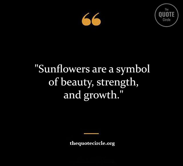 Top Best New Famous Sun Flower Quotes for Everyone Sun-Flower-Quotes