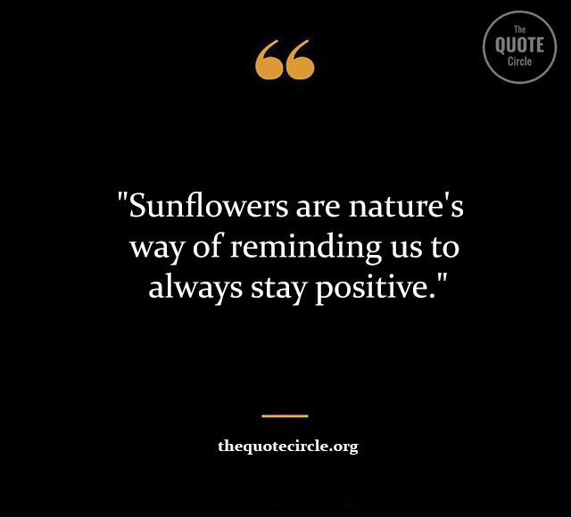 Top Best New Famous Sun Flower Quotes for Everyone Sun-Flower-Quotes