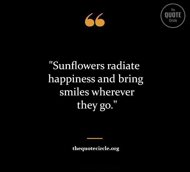 Top Best New Famous Sun Flower Quotes for Everyone Sun-Flower-Quotes