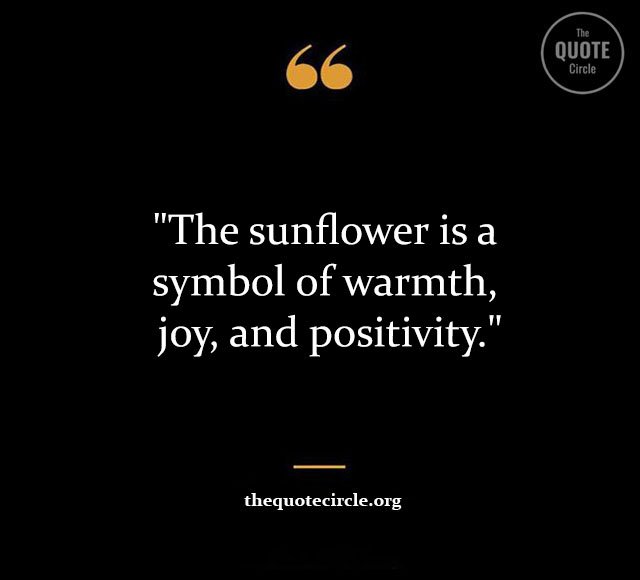 Top Best New Famous Sun Flower Quotes for Everyone Sun-Flower-Quotes