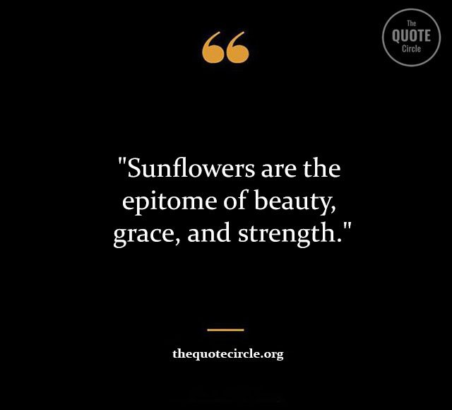 Top Best New Famous Sun Flower Quotes for Everyone Sun-Flower-Quotes