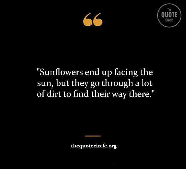 Top Best New Famous Sun Flower Quotes for Everyone Sun-Flower-Quotes